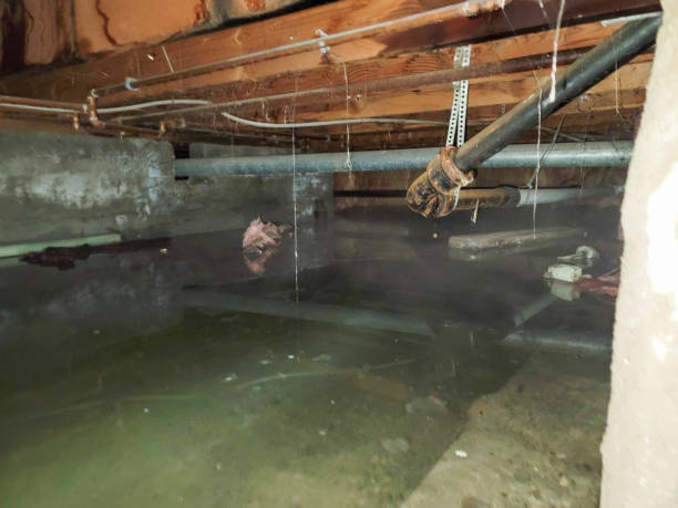 Water damage restoration experts in Helena, MT