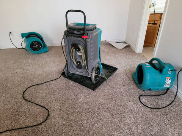 Best 24-hour water damage restoration  in Helena, MT