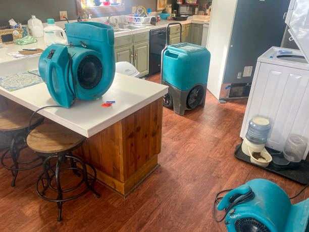  Helena, MT Water damage restoration Pros