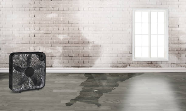 Water damage restoration insurance claims in Helena, MT