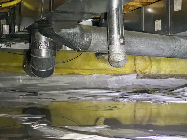 Best Mold removal after water damage  in Helena, MT