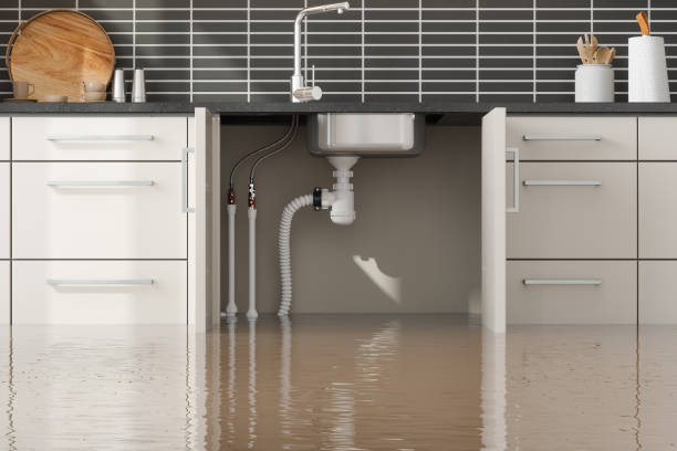 Helena, MT Water damage restoration Company