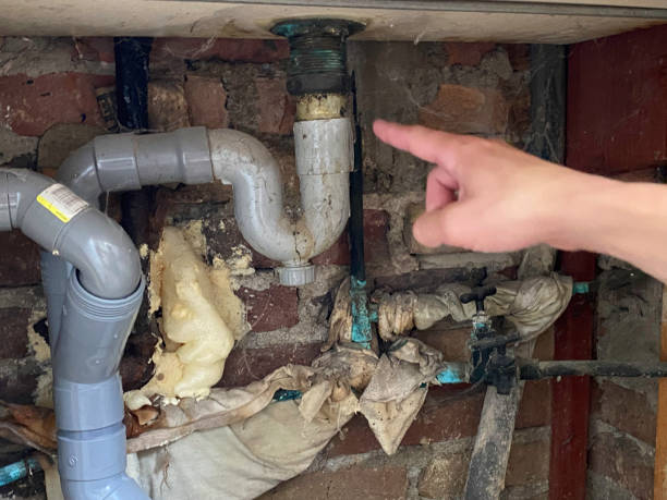 Best Water damage cleanup near me  in Helena, MT
