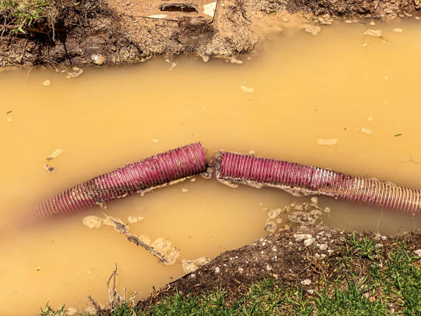Best Residential water damage restoration  in Helena, MT